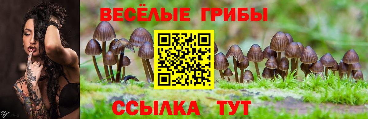 Конаково  Псилоцибиновые грибы мухоморы  наркошоп  Галлюциногенные грибы ЛСД  Вход с VPN 